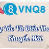 Quy Tắc Và Điều Khoản Khuyến Mãi VNQ8