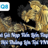 Đá Gà Nạp Tiền Liền Tay: Cơ Hội Thắng Lớn Tại VNQ8