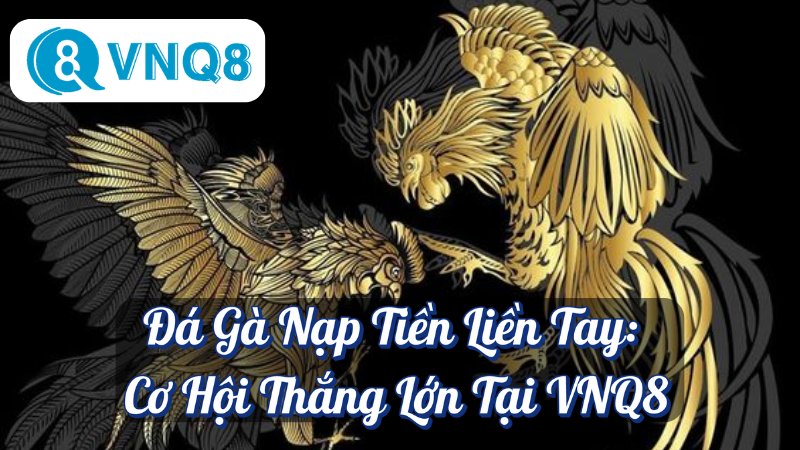 Đá Gà Nạp Tiền Liền Tay: Cơ Hội Thắng Lớn Tại VNQ8